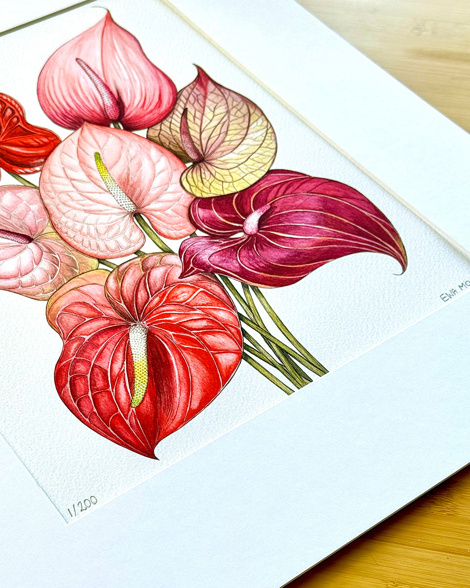 Limited Edition Prints