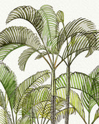 SOLD - Areca Palm
