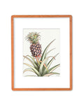 SOLD - Baby Pineapple