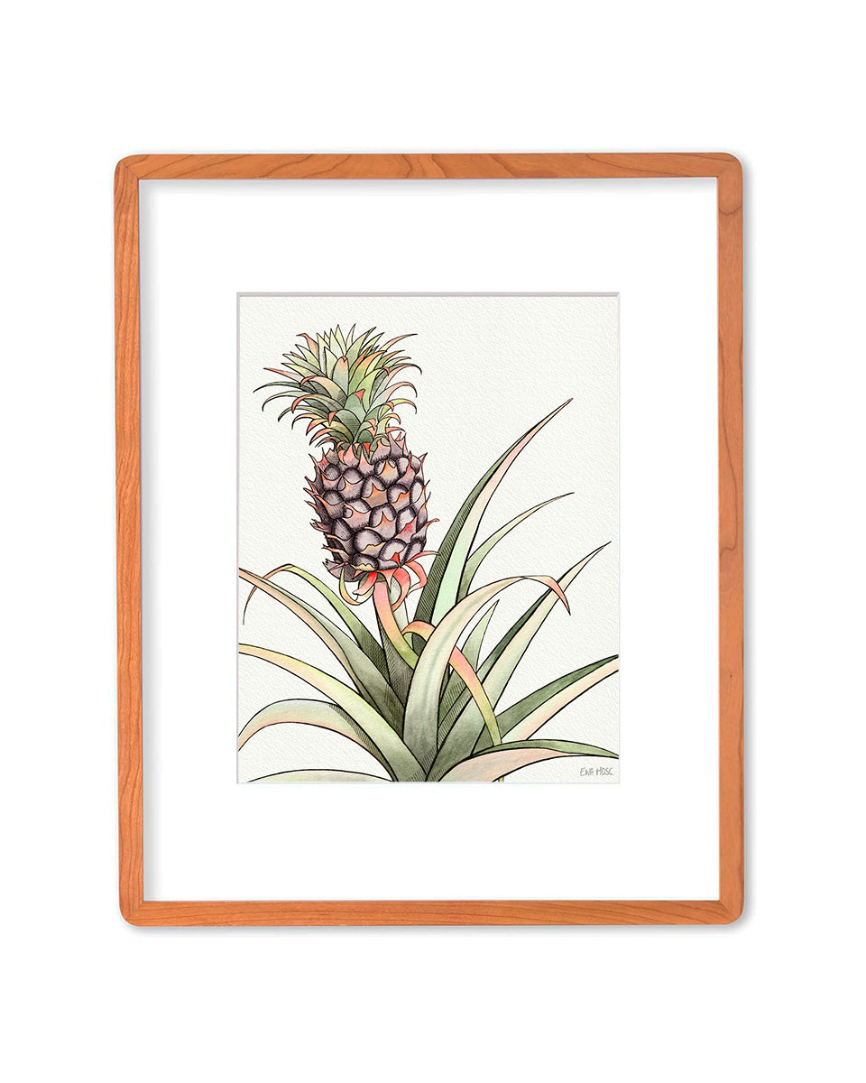 SOLD - Baby Pineapple