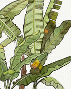 Banana Tree