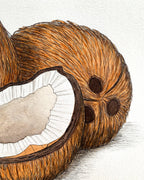 Coconuts