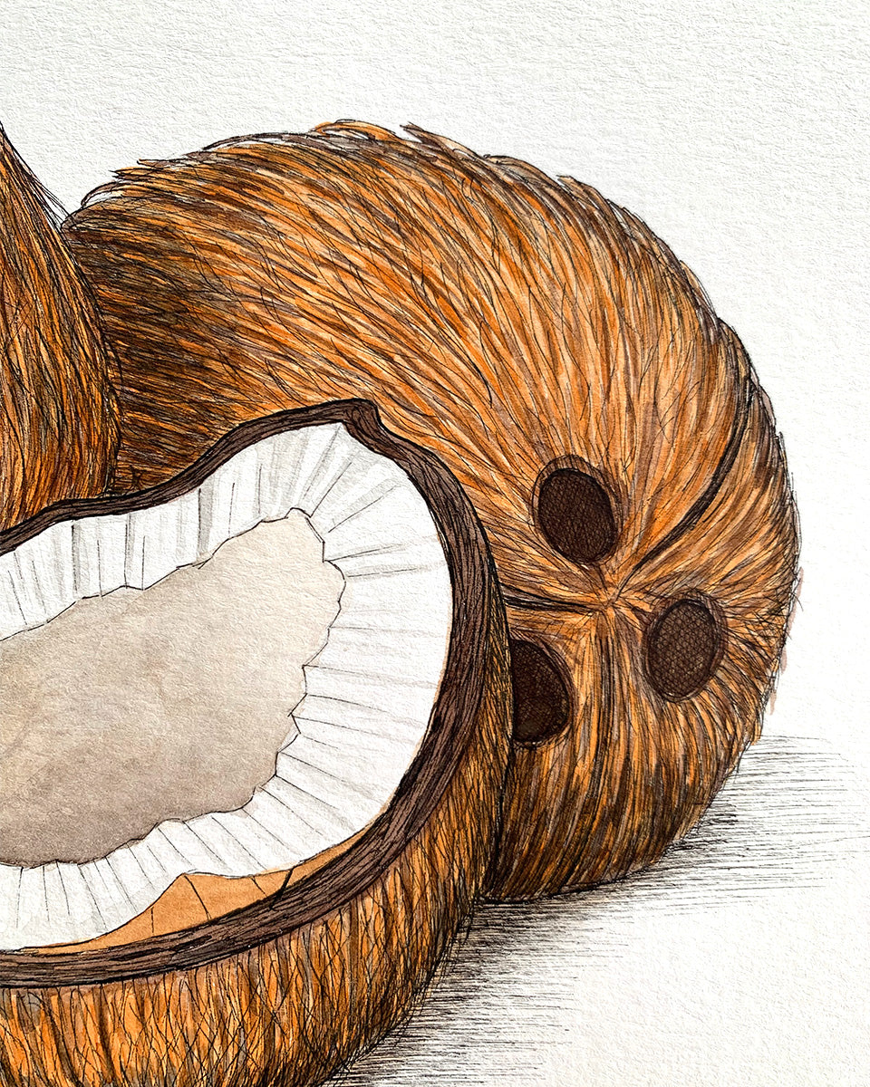 Coconuts