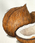 Coconuts