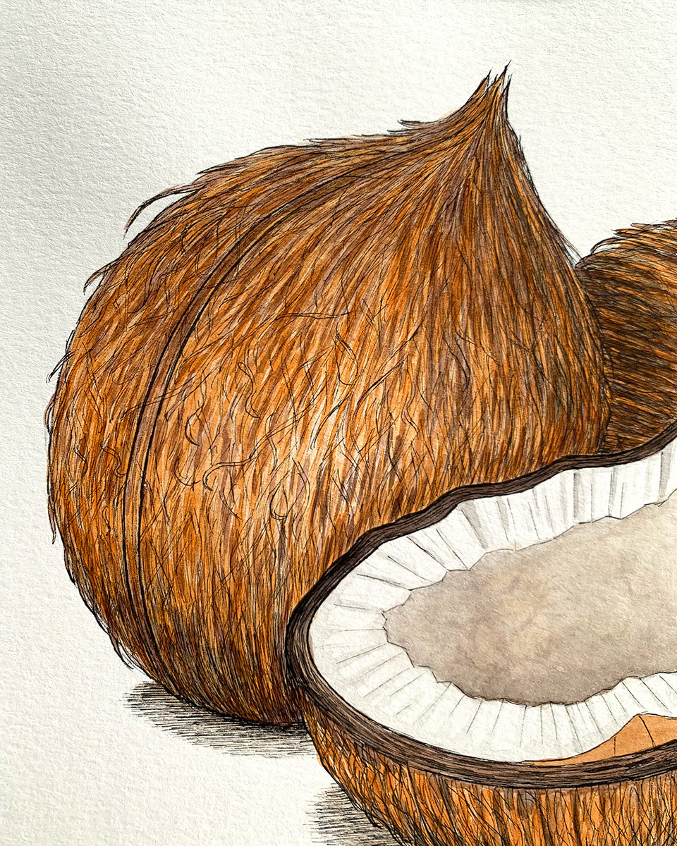 Coconuts