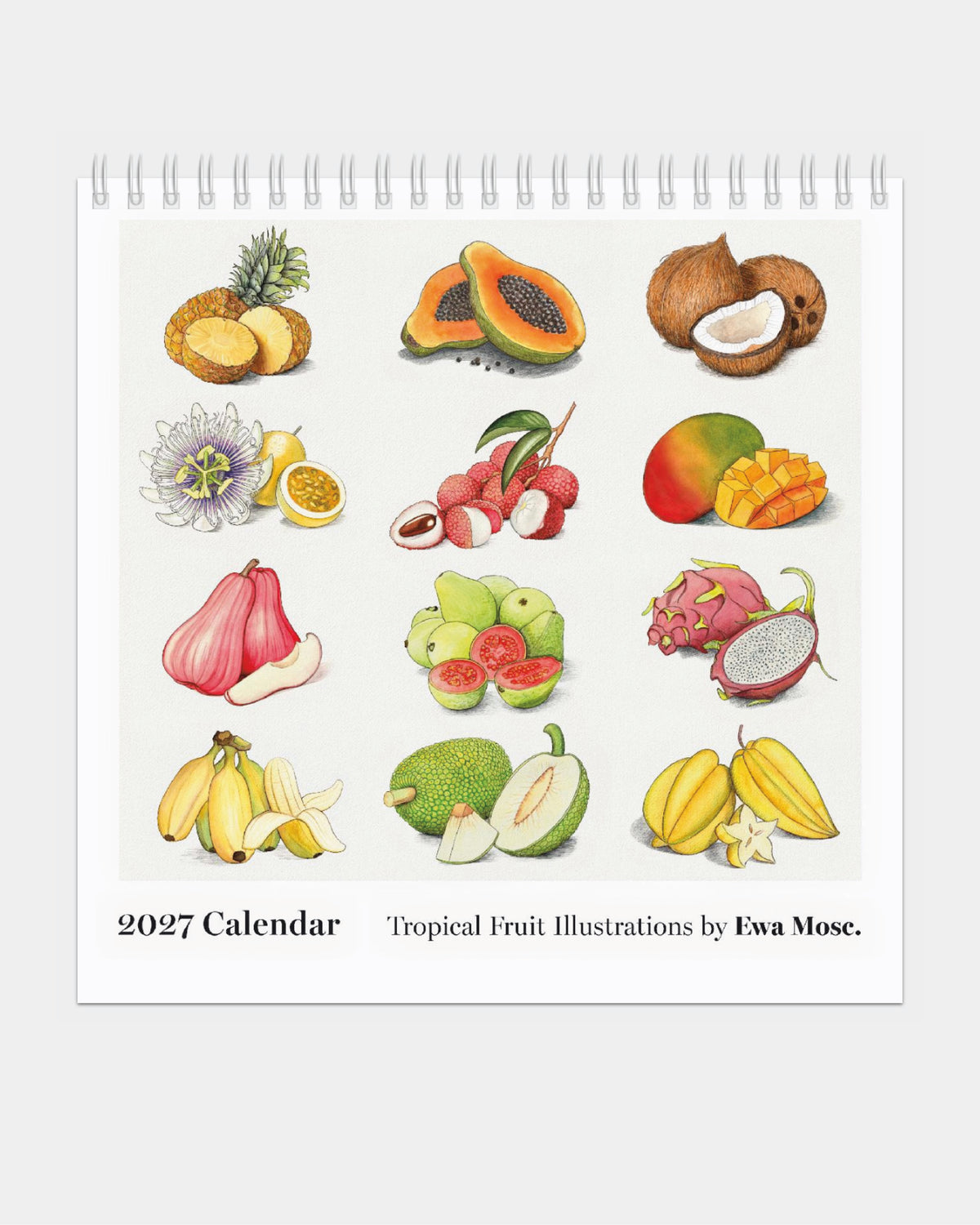 2027 Tropical Fruits Desk Calendar