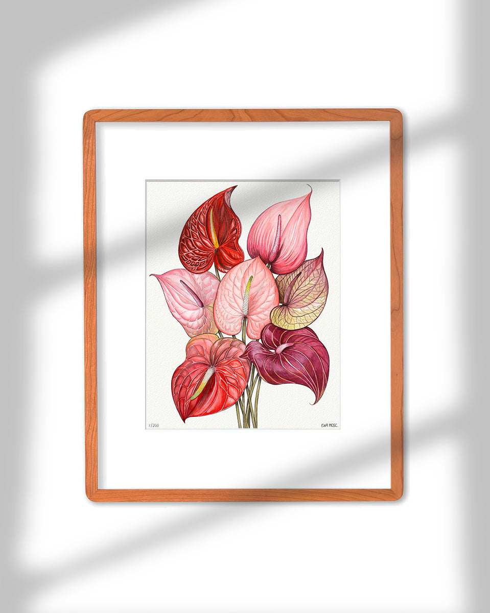 Anthuriums