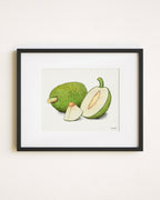 Breadfruit
