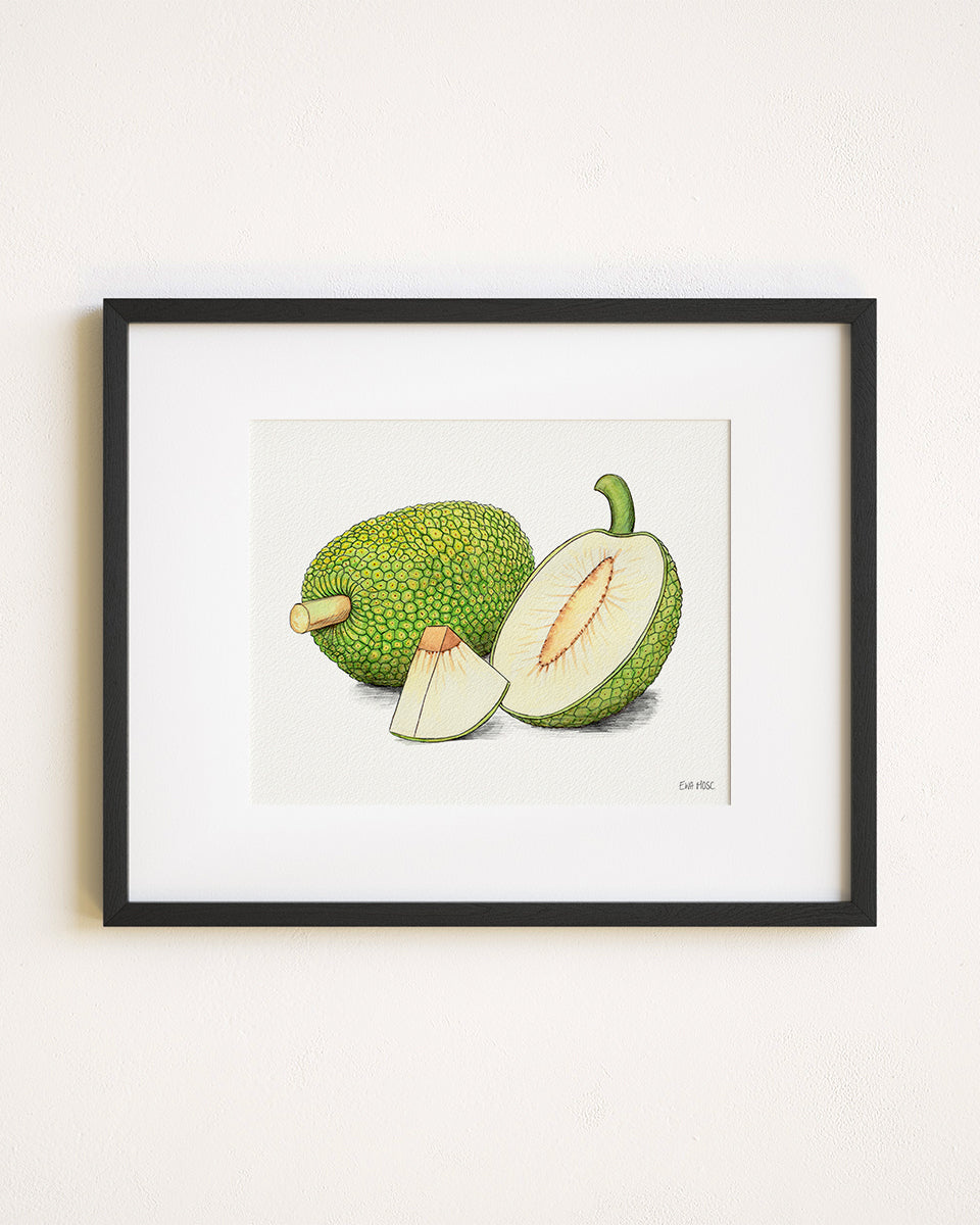 Breadfruit