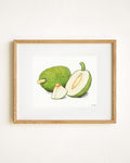 Breadfruit