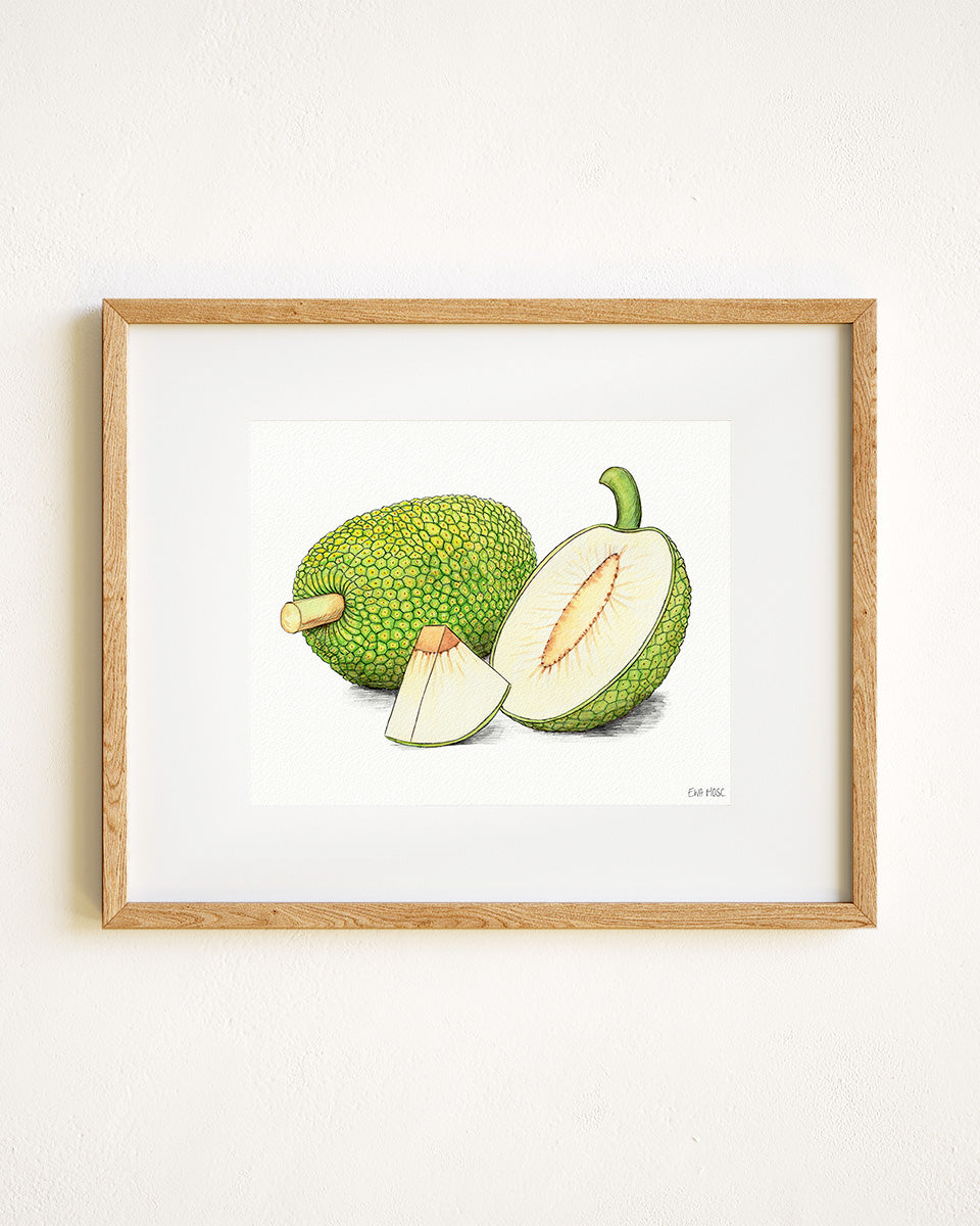 Breadfruit