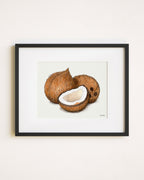 Coconuts