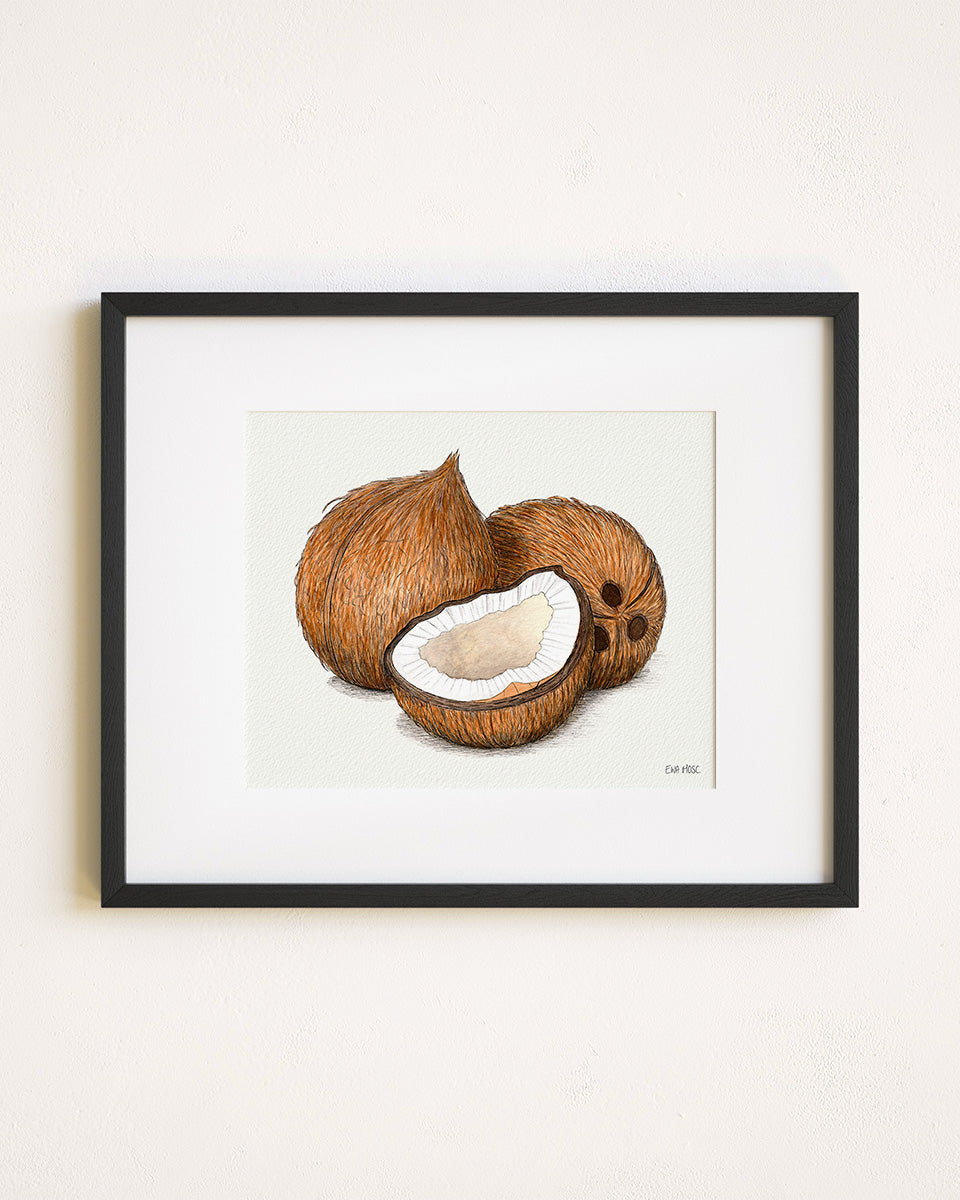 Coconuts