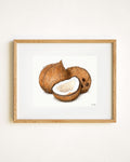 Coconuts
