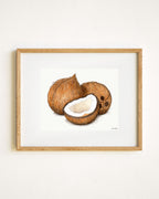 Coconuts