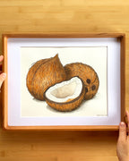 Coconuts