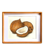 Coconuts