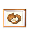 Coconuts