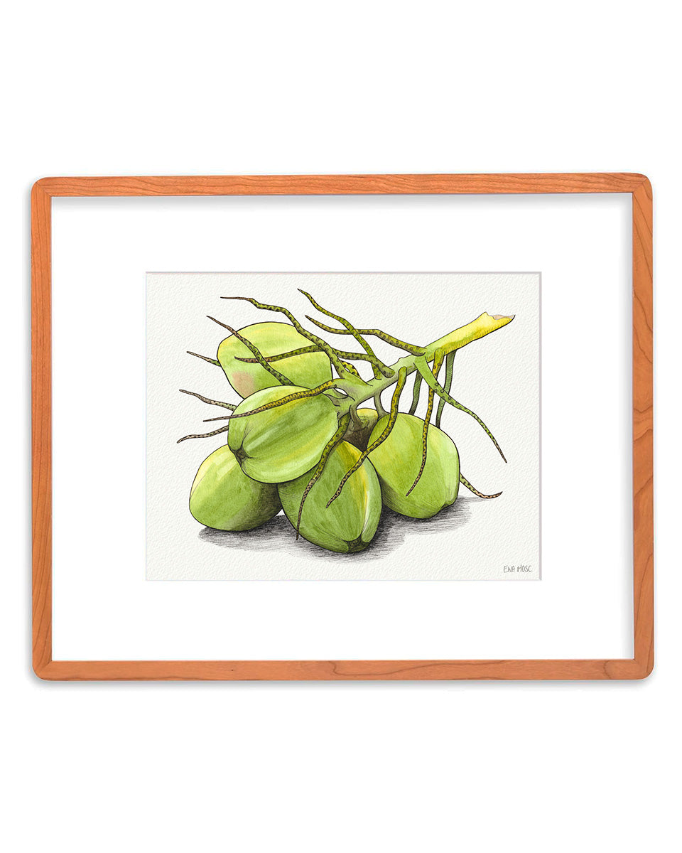 Green Coconuts