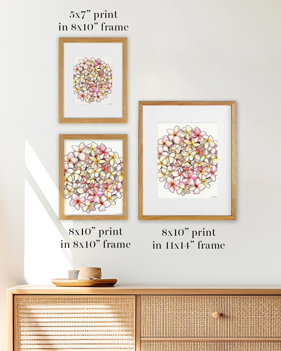 Pink & White Plumeria