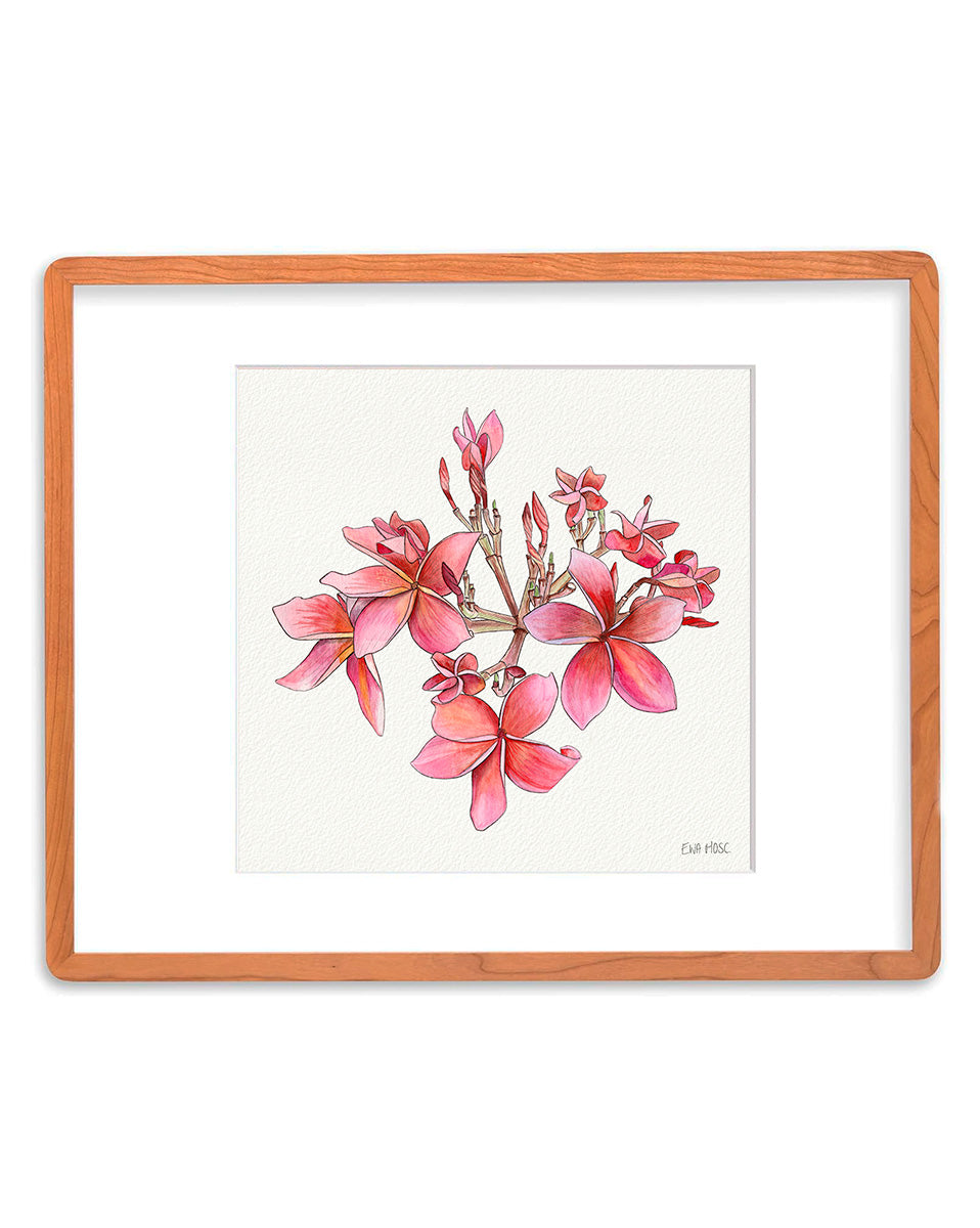 SOLD - Cherry Pink Plumeria