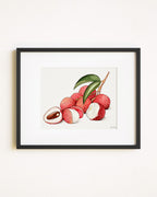 Lychee
