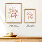 Pink Heliconias