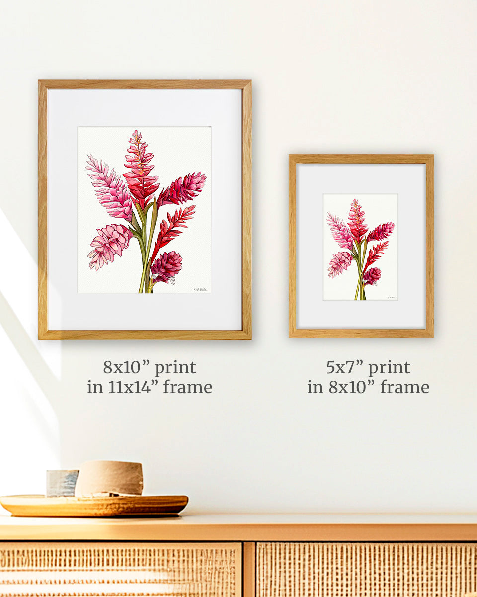 Pink & Red Gingers