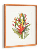Tropical Blooms - 11x14" Limited Edition Print