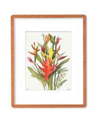 Tropical Blooms - 11x14" Limited Edition Print