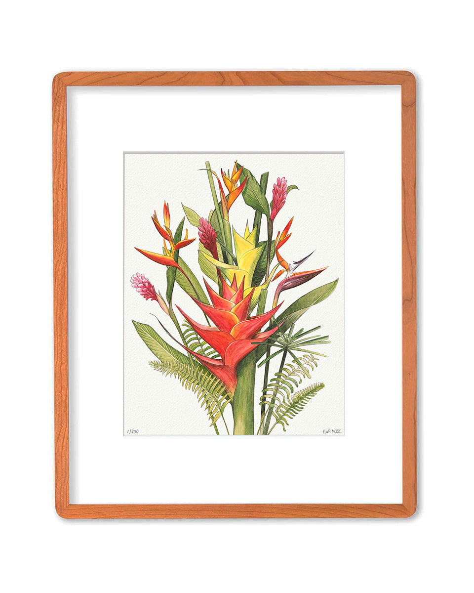 Tropical Blooms - 11x14" Limited Edition Print