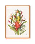 Tropical Blooms