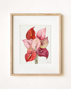 Anthuriums
