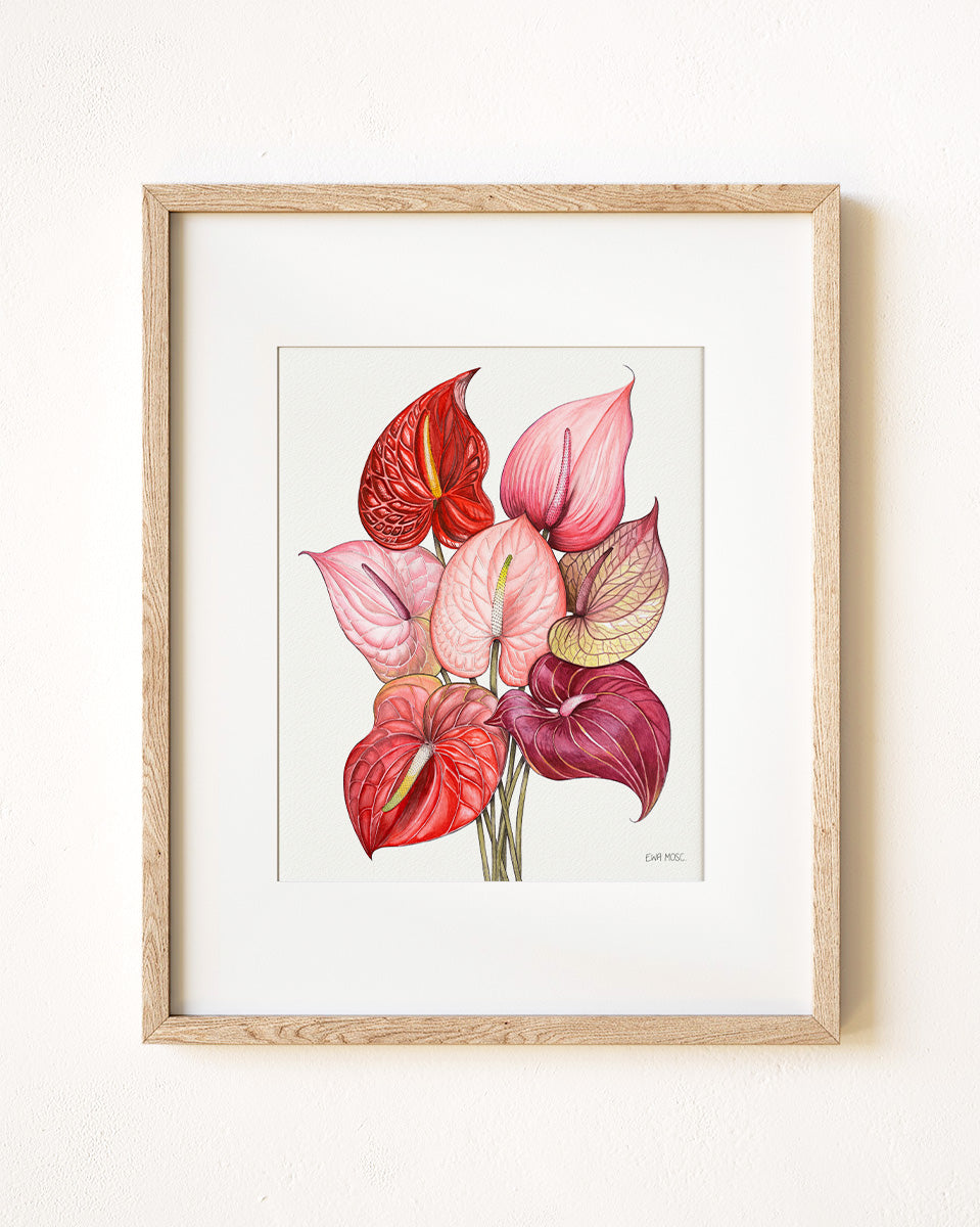 Anthuriums