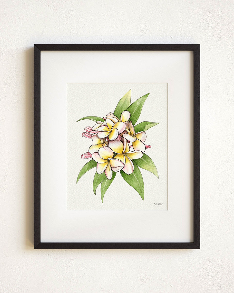 Blush Pink Plumeria