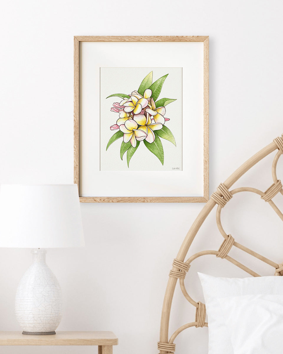 Blush Pink Plumeria