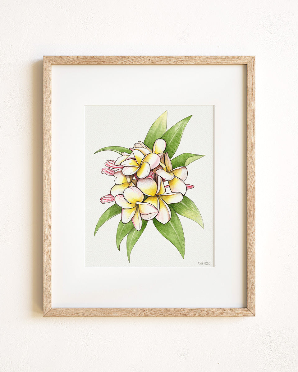 Blush Pink Plumeria