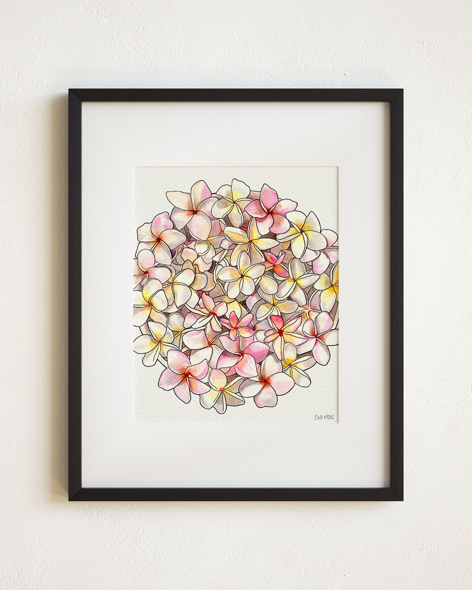 Pink & White Plumeria