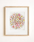 Pink & White Plumeria