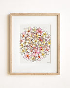 Pink & White Plumeria