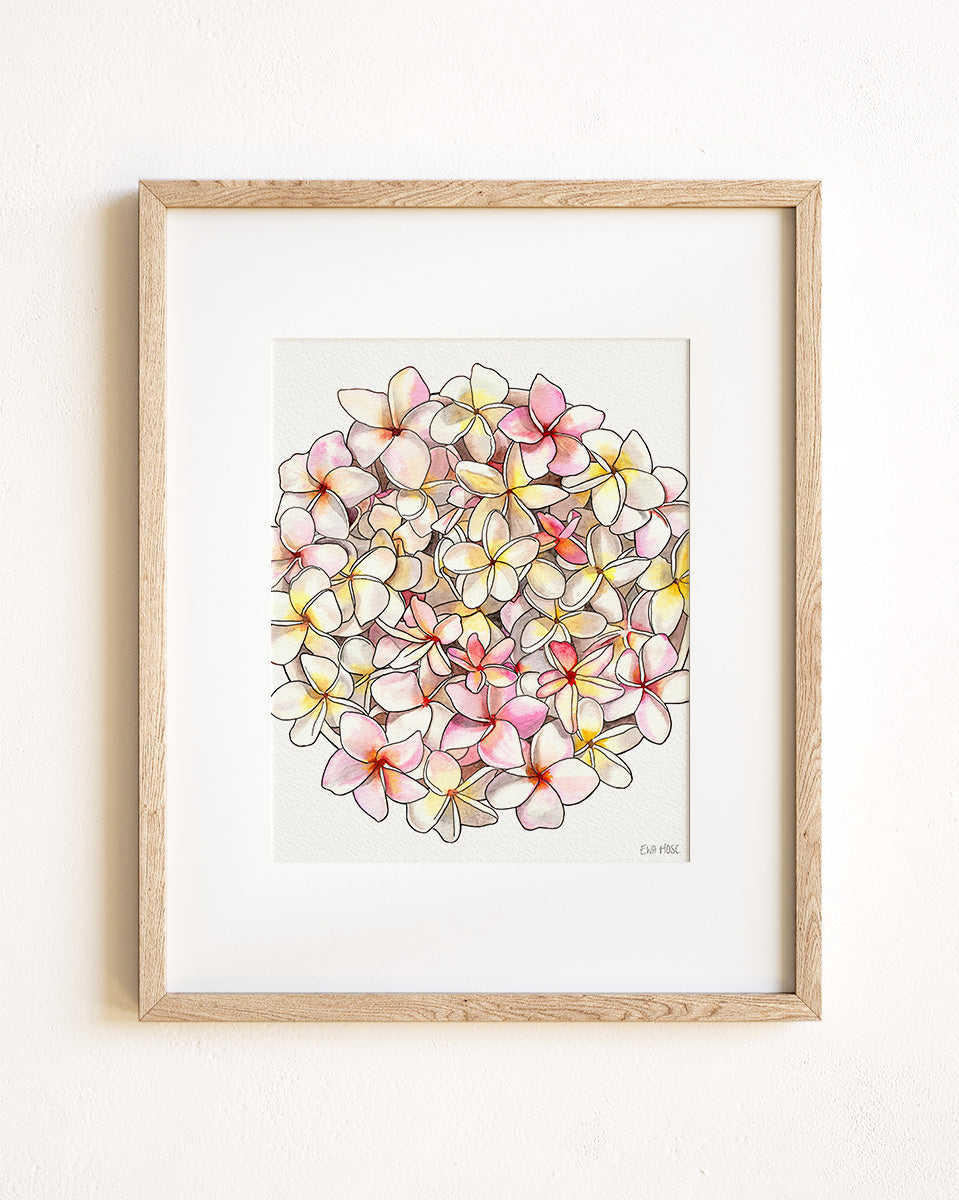 Pink & White Plumeria