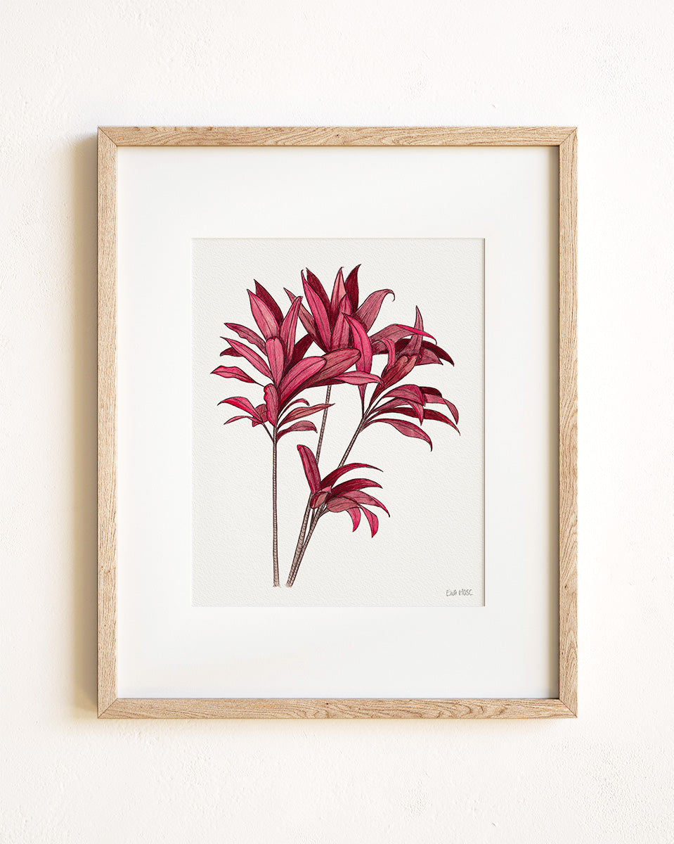 Red Ti Plant