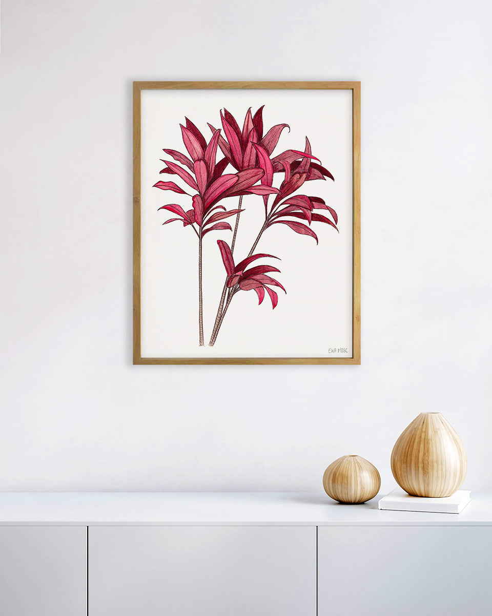 Red Ti Plant