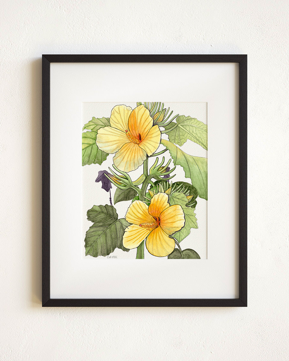 Yellow Hibiscus