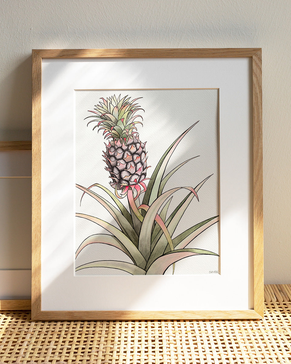Baby Pineapple