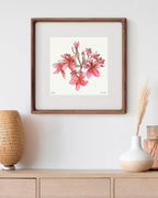 Cherry Pink Plumeria - 12x12" Limited Edition Print