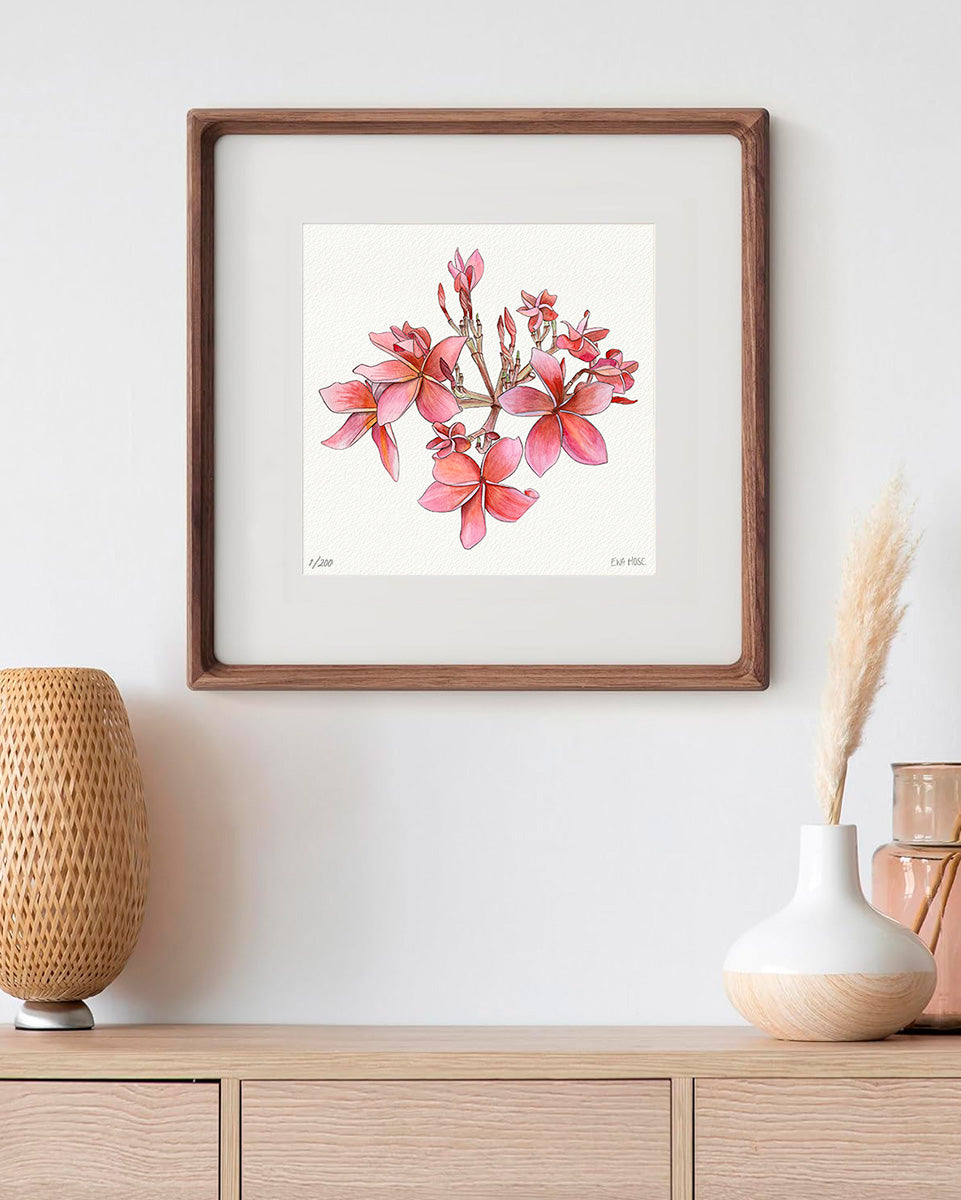 Cherry Pink Plumeria - 12x12" Limited Edition Print