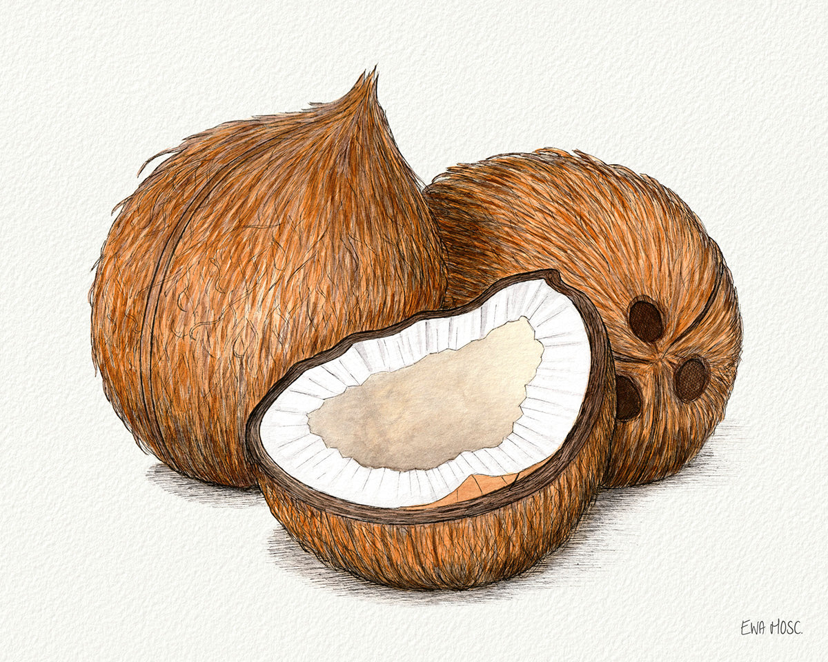 Coconuts