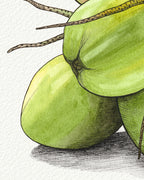 Green Coconuts