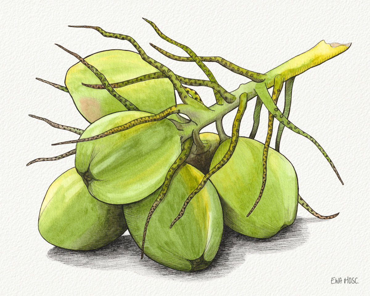 Green Coconuts